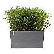 Ecopots Pflanzkasten Paris (Außenmaß (L x B x H): 100 x 40 x 50 cm, Kunststoff, Grau, Ausstattung Pflanzgefäß: Rollen) | BAUHAUS