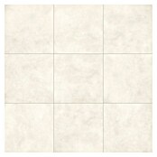 Feinsteinzeugfliese Dimension (79,7 x 79,7 cm, Beige, Matt) | BAUHAUS