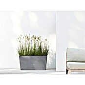 Ecopots Pflanzkasten Paris (Außenmaß (L x B x H): 100 x 40 x 50 cm, Kunststoff, Grau, Ausstattung Pflanzgefäß: Rollen) | BAUHAUS