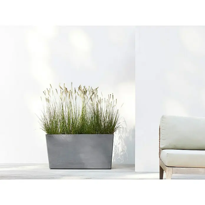 Ecopots Pflanzkasten Paris - Außenmaß (L x B x H): 100,5 x 39,6 x 51,8 cm, Kunststoff, Grau, Ausstattung Pflanzgefäß: Rollen - Eine stilvolle, rechteckige Pflanzbox aus Zement mit üppigem Ziergras vor einem weißen Hintergrund, ideal für moderne Außenbereiche.