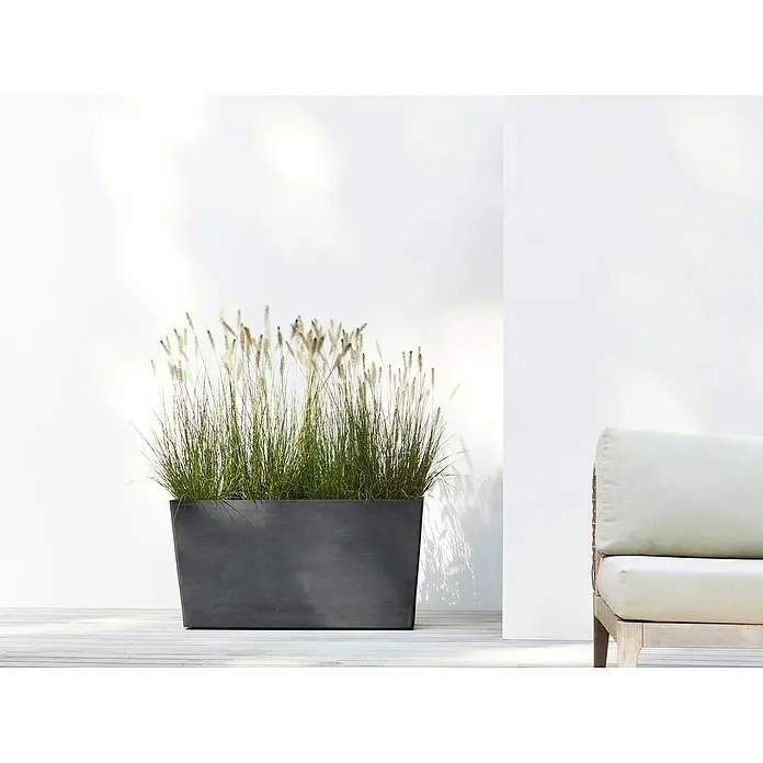 Ecopots Pflanzkasten Paris - Außenmaß (L x B x H): 100,5 x 39,6 x 51,8 cm, Kunststoff, Dunkelgrau, Ausstattung Pflanzgefäß: Rollen - Eine rechteckige, anthrazitfarbene Pflanzbox mit Ziergräsern vor einer hellen Wand, die ein modernes und stilvolles Ambiente schafft.
