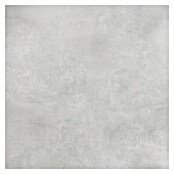 Feinsteinzeugfliese Dimension (79,7 x 79,7 cm, Grau, Matt) | BAUHAUS