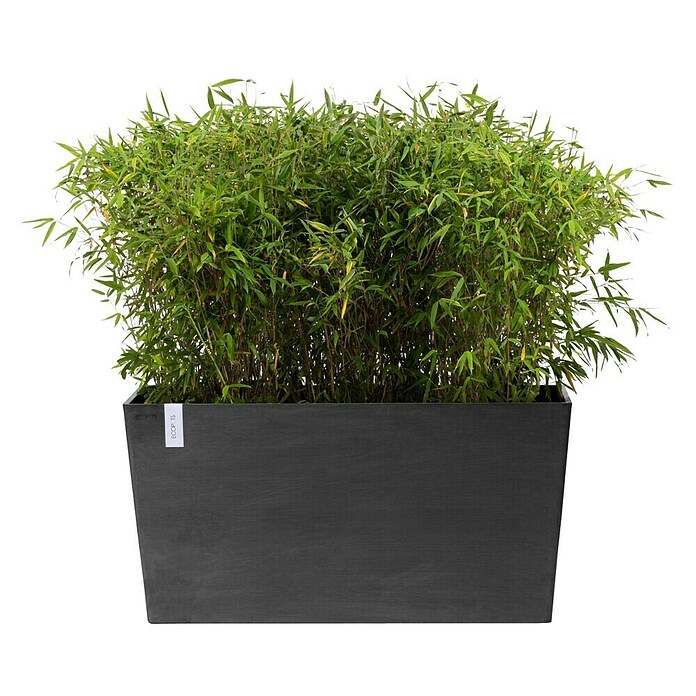 Ecopots Pflanzkasten Paris (Außenmaß (L x B x H): 100 x 40 x 50 cm, Kunststoff, Dunkelgrau, Ausstattung Pflanzgefäß: Rollen) | BAUHAUS