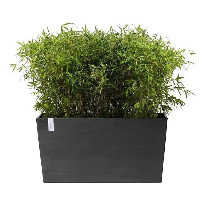 Ecopots Pflanzkasten Paris - Außenmaß (L x B x H): 100,5 x 39,6 x 51,8 cm, Kunststoff, Dunkelgrau, Ausstattung Pflanzgefäß: Rollen - Rechteckiger dunkelgrauer Pflanzkübel mit grünen Bambuspflanzen.
