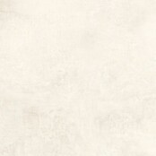 Feinsteinzeugfliese Dimension (79,7 x 79,7 cm, Beige, Matt) | BAUHAUS