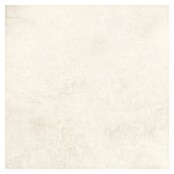 Feinsteinzeugfliese Dimension (79,7 x 79,7 cm, Beige, Matt) | BAUHAUS