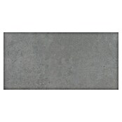 Art-Tec by Palazzo Keramische tegel (60 x 120 cm, Steel, Lapato)
