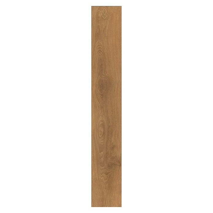 LOGOCLIC Ambienta Vzorec laminata Ambienta hrast Corno  (296 x 195 x 1 mm, Rustikalen videz) | 5163 - Zubehör | GCDO - Park+Laminat Zubeh  Pflegem | GCD - Wand Boden Decke Leisten | GC - Wand Boden Decke Leisten | G - Holz/Bauelem | BAUHAUS