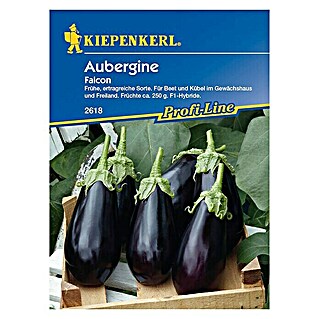 Kiepenkerl Profi-Line Gemüsesamen Aubergine Falcon (Solanum melongena, Erntezeit: Juli)