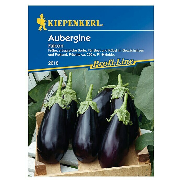 Kiepenkerl Profi-Line Gemüsesamen Aubergine FalconSolanum melongena, Erntezeit: Juli - Oktober Front View