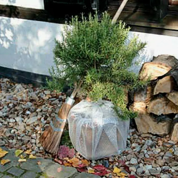 Floraworld Luftpolsterfolie - 500 x 100 cm, Stärke: 80 µm - Nahaufnahme einer eingetopften Pflanze, die mit einem Netz geschützt ist, umgeben von herbstlichem Laub und einer rustikalen Holzwand.