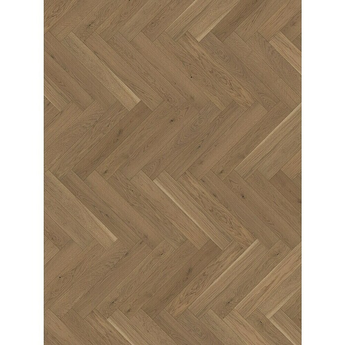 Parador Fertigparkett Trendtime 3 Living Eiche nougat (570 x 95 x 10,5 mm, Fischgrät, Eiche nougat) | BAUHAUS