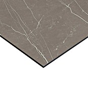 Panel salpicadero de cocina Marble (L x An: 90 x 60 cm, Taupe) | BAUHAUS