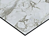 Panel salpicadero de cocina Marble (L x An: 60 x 60 cm, Café) | BAUHAUS