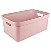 Sunware Aufbewahrungsbox Sigma Home (L x B x H: 59 x 39 x 24,2 cm, Kunststoff, Rosa) | BAUHAUS