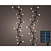 Guirnalda luminosa solar (Para exterior, 3 m, Blanco cálido, 1.000 ud.) | BAUHAUS