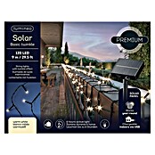 Guirnalda luminosa solar (Para exterior, 3 m, Blanco cálido, 120 ud.) | BAUHAUS