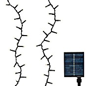 Guirnalda luminosa solar (Para exterior, 16 m, Blanco cálido) | BAUHAUS