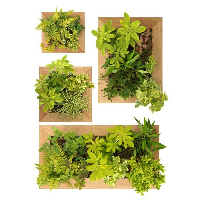 Vinilo de pared (Plantas verdes, 48 x 68 cm)