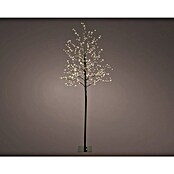 Árbol de Navidad de LEDs (Para interior, 480 ud., Color de luz: Blanco cálido) | BAUHAUS
