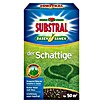 Substral Rasensamen Schattig (1 kg, Inhalt ausreichend für ca.: 50 m²)