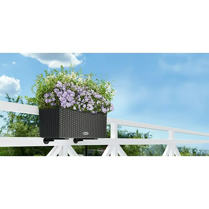 Lechuza Cottage Balkonkasten Balconera - Max. Außenlänge: 50 cm, Kunststoff, Granit - Ein rechteckiger, anthrazitfarbener LECHUZA-Balkonkasten mit lila und weißen Blumen, der an einem weißen Geländer befestigt ist.