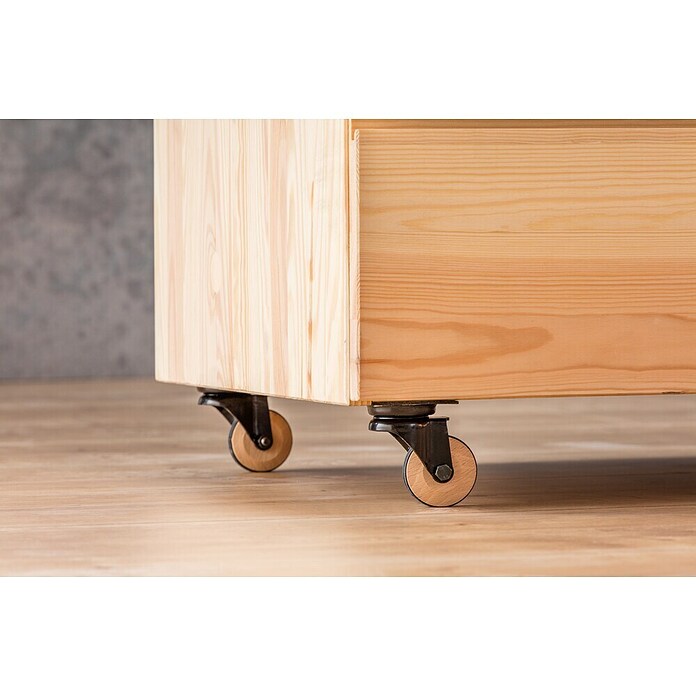 Stabilit Design-Lenkrolle (Durchmesser Rollen: 50 mm, Traglast: 40 kg, Gleitlager, Mit Platte)