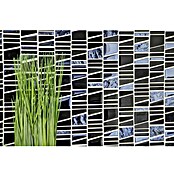 Mosaikfliese Leiter Mix XCM LA29 (30 x 30 cm, Schwarz, Glänzend)