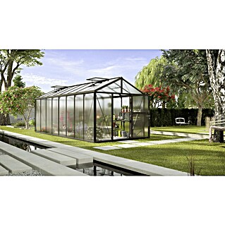 Vitavia Gewächshaus Zeus 15700 (Außenmaß inkl. Dachüberstand (B x T): 256 x 614 cm, 10 mm, Schwarz)