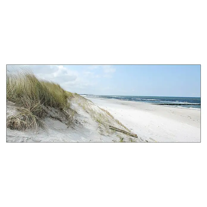 Glasbild - Sommertag III, B x H: 80 x 30 cm - Blick auf einen Sandstrand mit Dünen und Gräsern unter einem hellblauen Himmel.