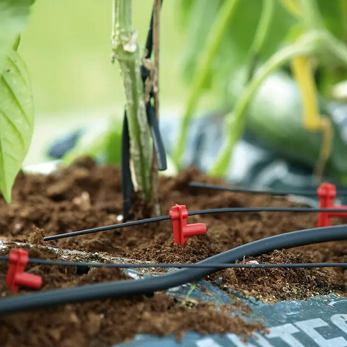 Vitavia Hydromat Ergänzungs-Set - Passend für: Vitavia Hydromat, Kunststoff - Nahaufnahme einer Bewässerungsanlage mit roten Tropfern, die in der Landwirtschaft für eine gezielte Wasserversorgung eingesetzt wird.