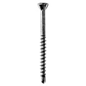 Profi Depot Dielenschraube VZ TX (Durchmesser: 3,2 mm, Länge: 30 mm, TX für TORX-Antriebe, 200 Stk.)