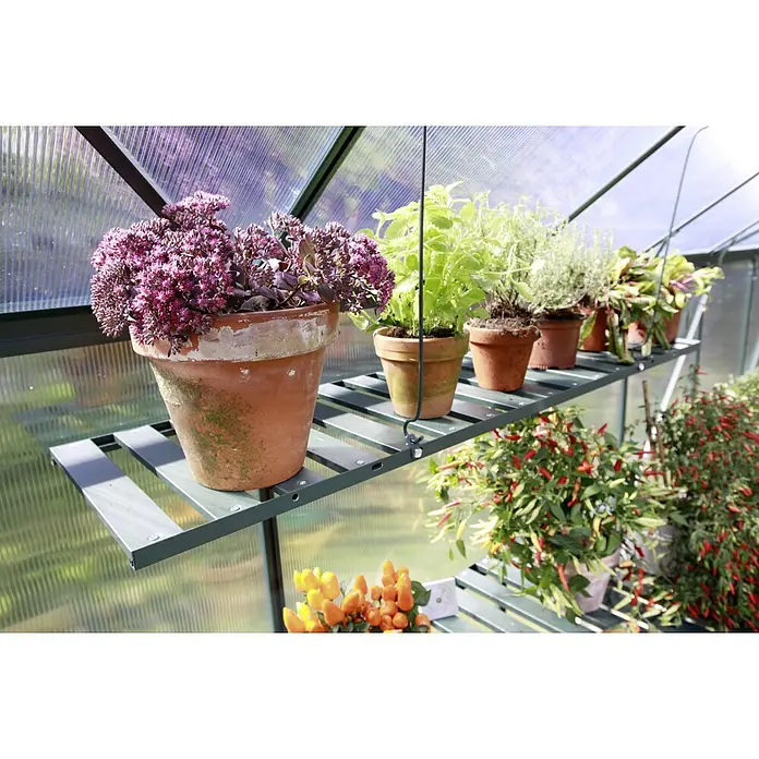 Vitavia Gewächshaus-Regal - Breite: 120 cm, Smaragd - Gewächshausregal mit Pflanzen in Töpfen. Ideal für kleine Gärten, Balkone und Terrassen, um Pflanzen und Blumen zu präsentieren.
