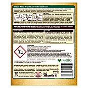 Celaflor Naturen Ameisen-Mittel (500 g)