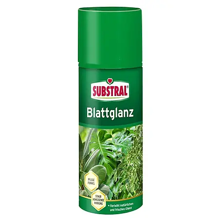 Substral Blattglanz für hartlaubige Zimmerpflanzen