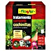Flower Protección contra cochinillas y chinches tratamiento completo 