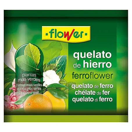 Flower  Concentrado Ferrotrene