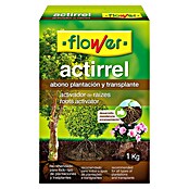 Flower Activador de raíces Actirrel (1 kg)