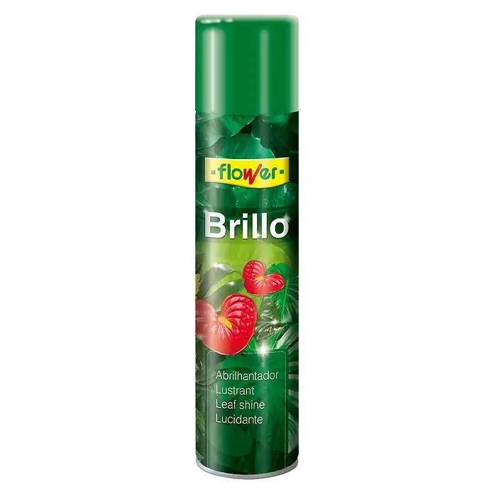 Flower Abrillantador foliar - 335 ml - Spray abrillantador de hojas "Flower Brillo" para hojas de plantas brillantes, mejora el aspecto de sus plantas.