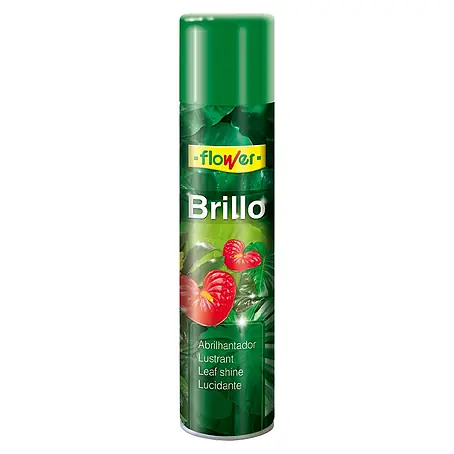 Flower  Abrillantador foliar