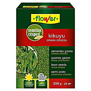 Flower Semillas para césped Kikuyu (250 g)