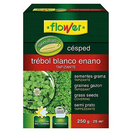 Flower  Semillas para césped Trébol Blanco Enano