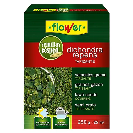 Flower  Semillas para césped Dichondra Repens