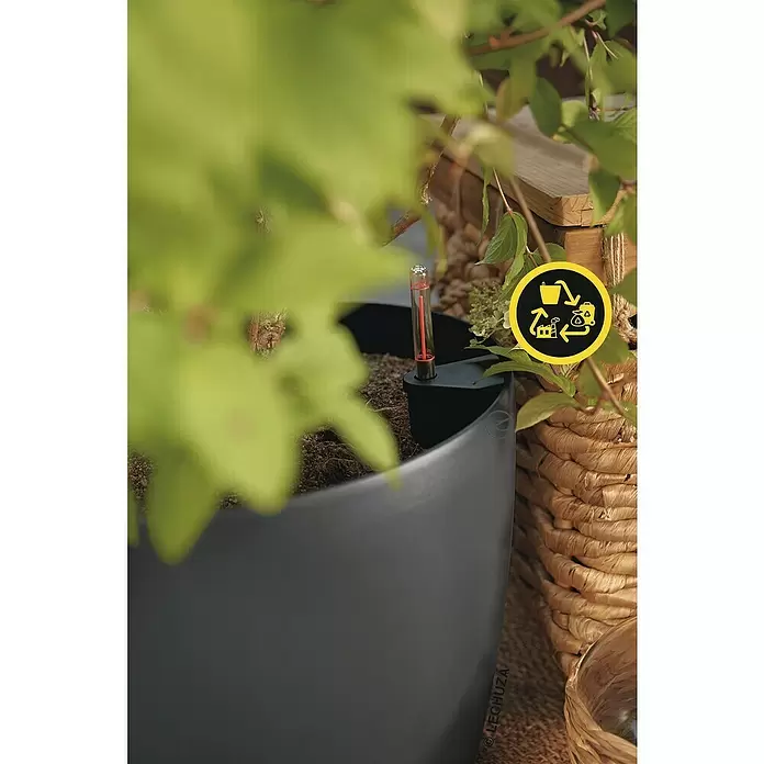 Lechuza Classico Pflanztopf Eco - Außenmaß (Ø x H): 27,5 x 26 cm, Kunststoff, Grau - Dunkelgrauer Pflanzkübel mit integriertem Bewässerungssystem und Recyclingsymbol, in einem Garten.