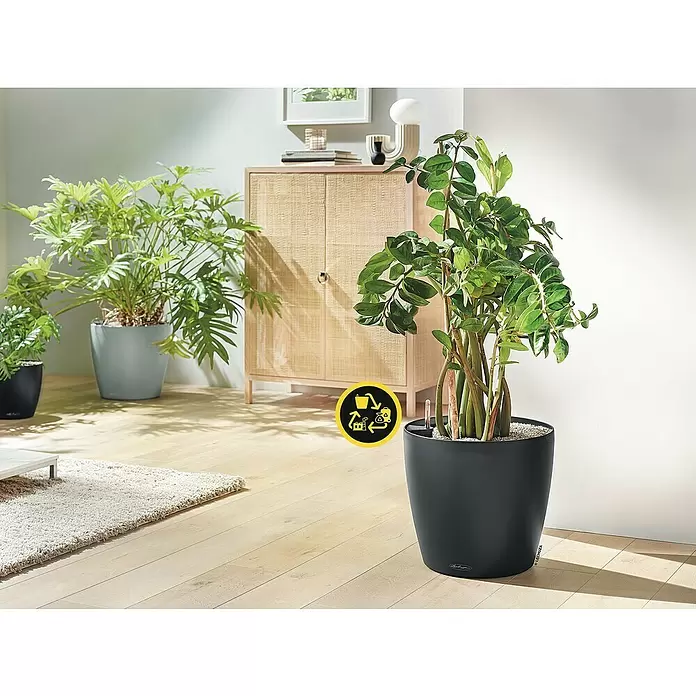 Lechuza Classico Pflanztopf Eco - Außenmaß (Ø x H): 42 x 39,5 cm, Kunststoff, Dunkelgrau - Schwarzer selbstbewässernder Pflanztopf mit Wasserstandsanzeige und üppiger Grünpflanze in einem modernen Wohnraum, mit Nachhaltigkeitssymbol.