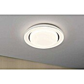 Paulmann Okrugla stropna LED svjetiljka  (22 W, Ø x V: 380 cm x 75 mm, Topla bijela) | BAUHAUS