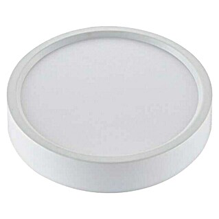 Green Tech LED panel (24 W, Ø x V: 28,5 x 4 cm)