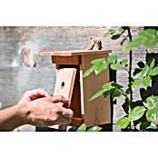 Windhager Nistkasten Birdy (Geeignet für: Meisen, L x B x H: 17 x 17 x 24,5 cm, Massivholz, Natur)