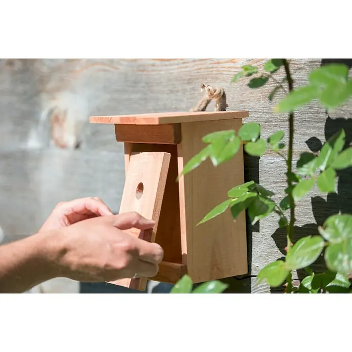 Windhager Nistkasten Birdy - Geeignet für: Meisen, L x B x H: 17 x 17 x 24,5 cm, Massivholz, Natur - Ein hölzernes Vogelhaus wird an einer Wand befestigt, eine Person öffnet es. Ideal für den Garten und Vogelliebhaber.