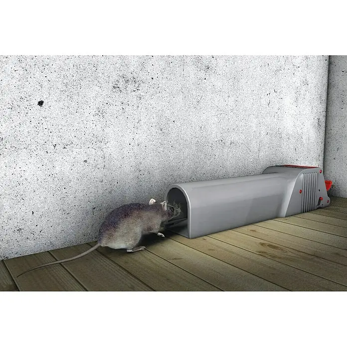 Swissinno SuperCat Mausefalle No See No Touch - Spezialfalle, Kunststoff, 1 Stk. - Eine graue elektronische Mausefalle, die an einer Ecke mit einer neugierigen Maus davor steht, die versucht, hineinzugehen.